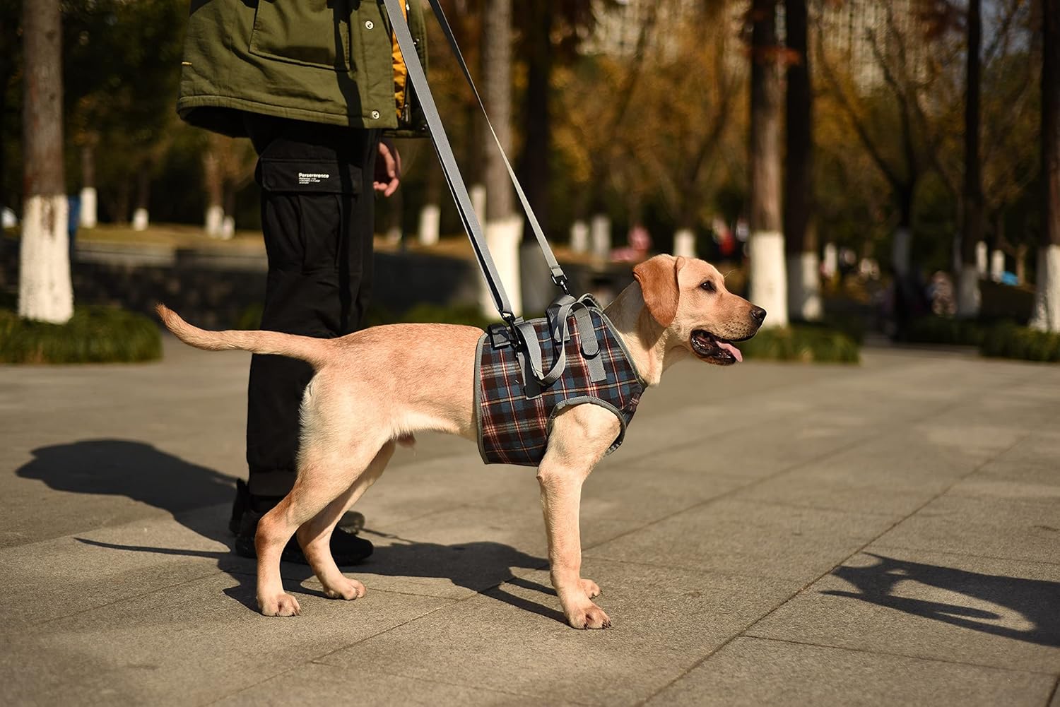 ROZKITCH Dog Lift Harness, Grid Pet Chest Support Aid Veterinarian Approved Sling for Old K9 Help With Poor Stability, Front Legs Disabled Joint Injury Elderly Arthritis ACL Rehabilitation Rehab