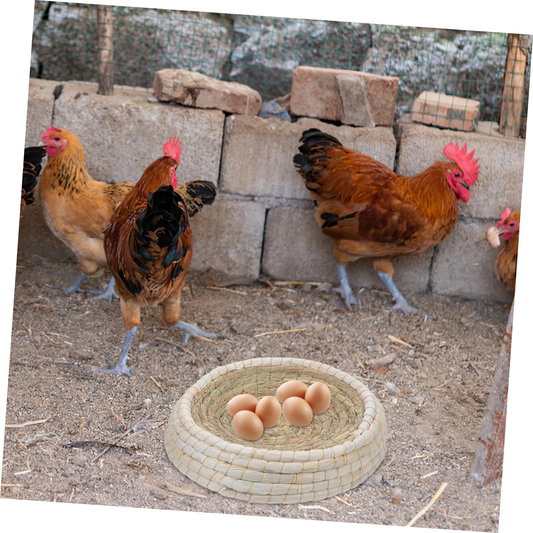 YARNOW Nido di pollame Casa per piccioni Cava per Uccelli Quaglia Gabbia per quaglie coop Nido di Allevamento di Uccelli Trasparente casa dell'uccello della Colomba Cannuccia Light Brown