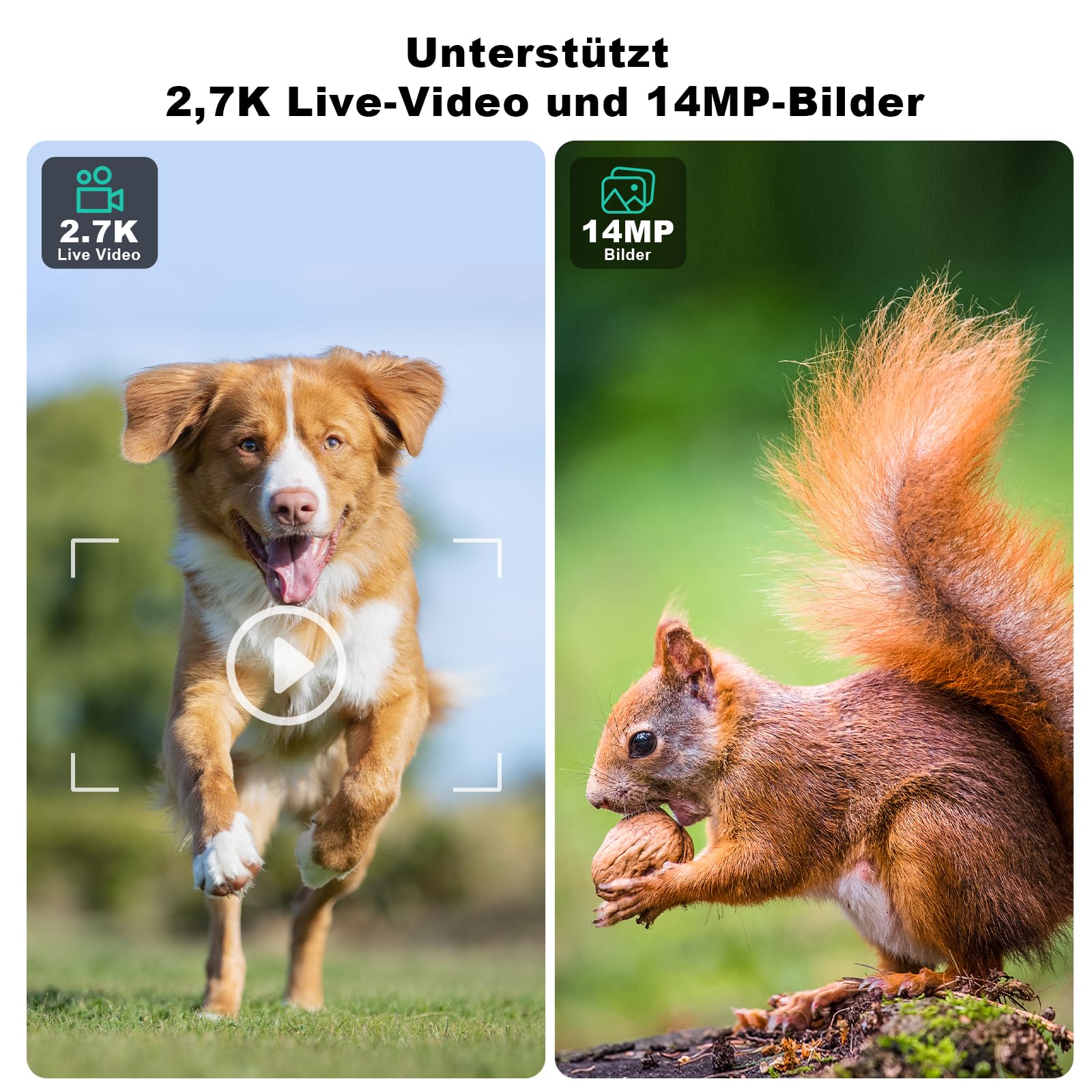 ZAIYW 4G LTE Solar Wildkamera 2,7K HD Live Video 120° 20M Bewegungsmelder 940nm No Glow Nachtsicht IP66 Wasserdicht