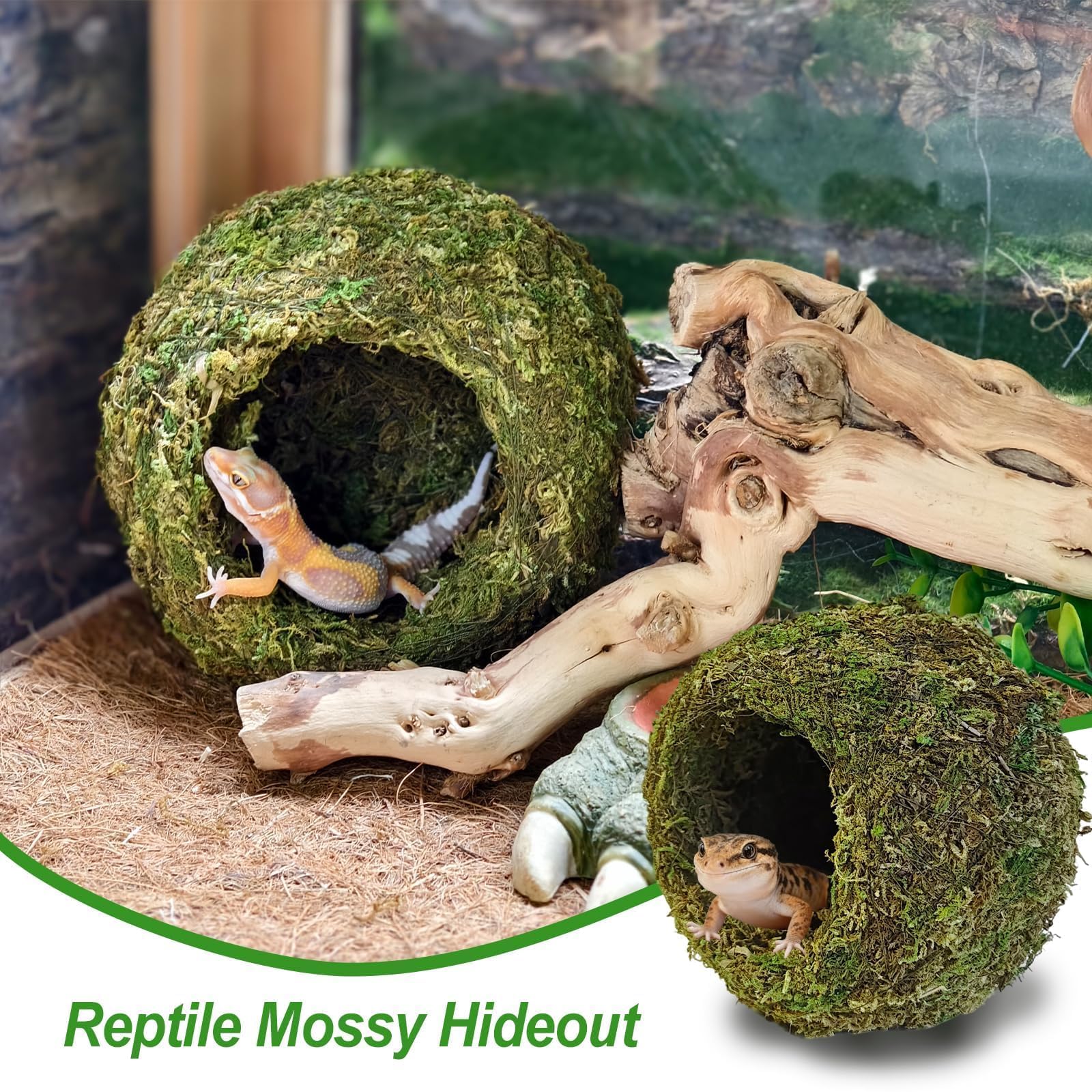 Gxsdj 2pcs Crested Gecko Hide,Reptile Mossy Caves Hideout,Leopard Gecko Humid Hide,Natural Moss Cave Hiding Decor Tank Accessories for Reptiles, Amphibians,Invertebrates,Lizard,Frog - image 2