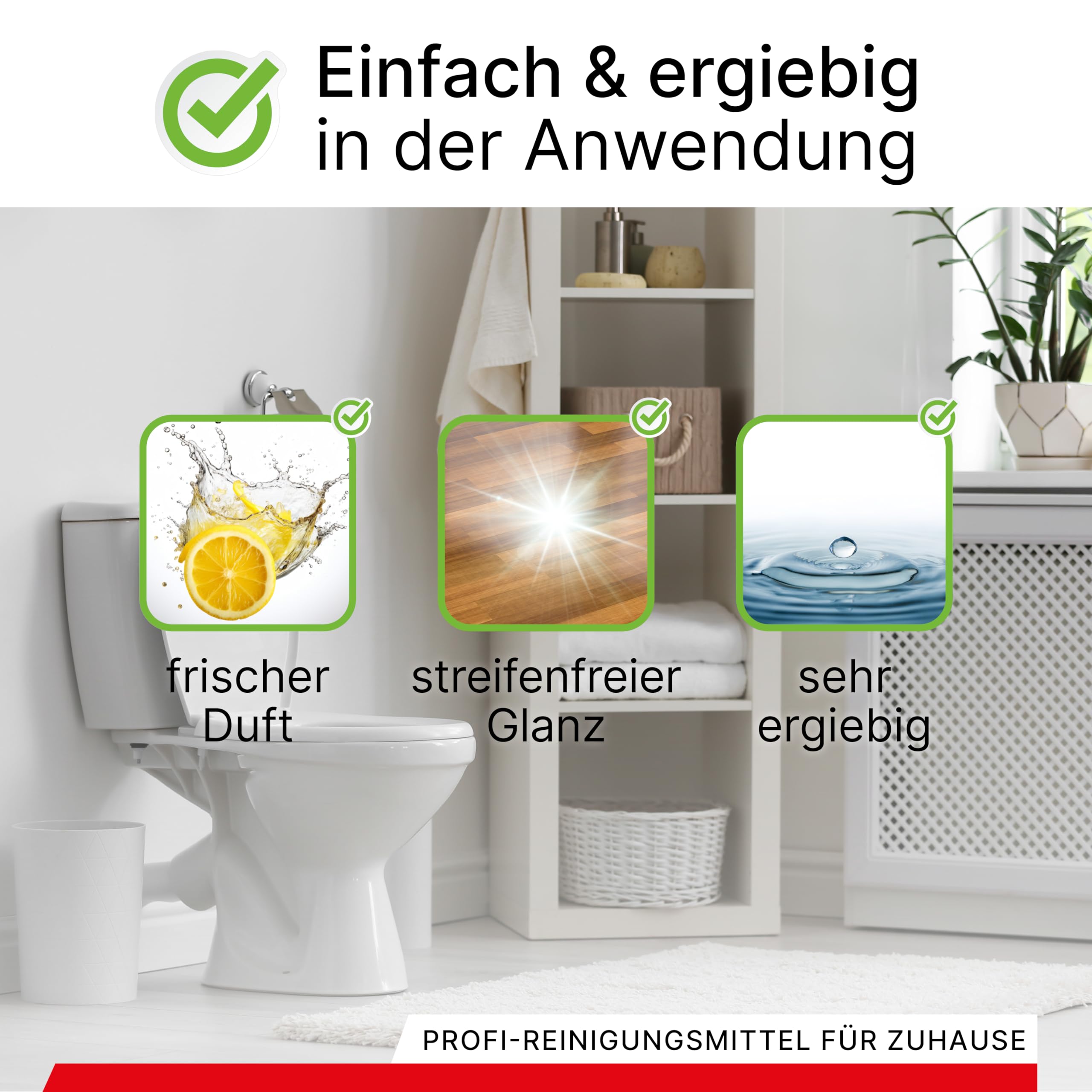 BiOHY Detergente per bagno (Lattina da 10 Litri) + Rubinetto di scarico | Concentrato decalcificante per ambienti sanitari | profumo gradevole e fresco | EXTRA FORTE (Sanitärreiniger)
