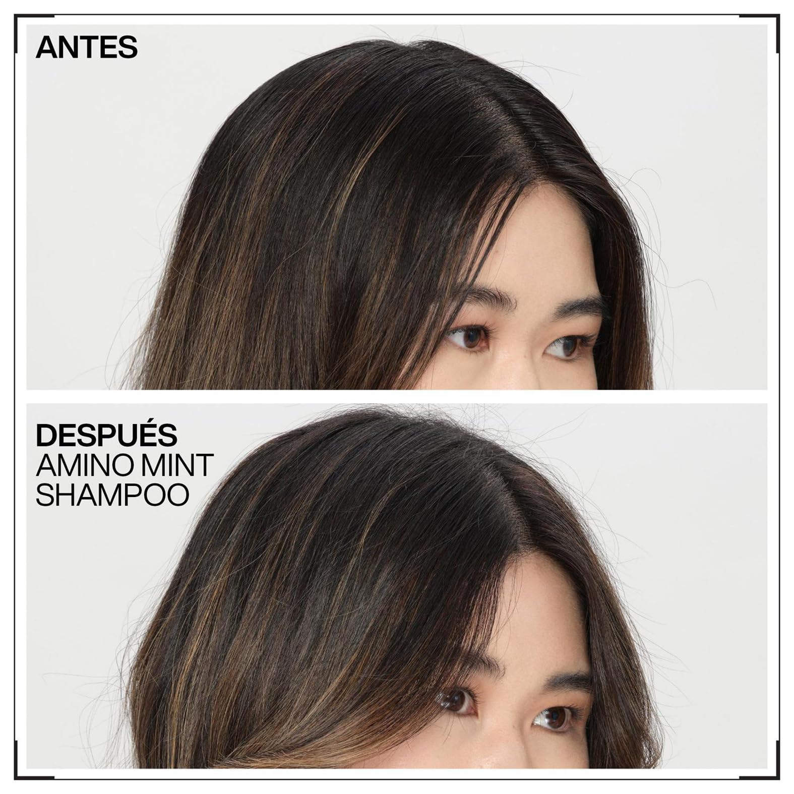 Redken Champú de Menta Anti Grasa 300 ml