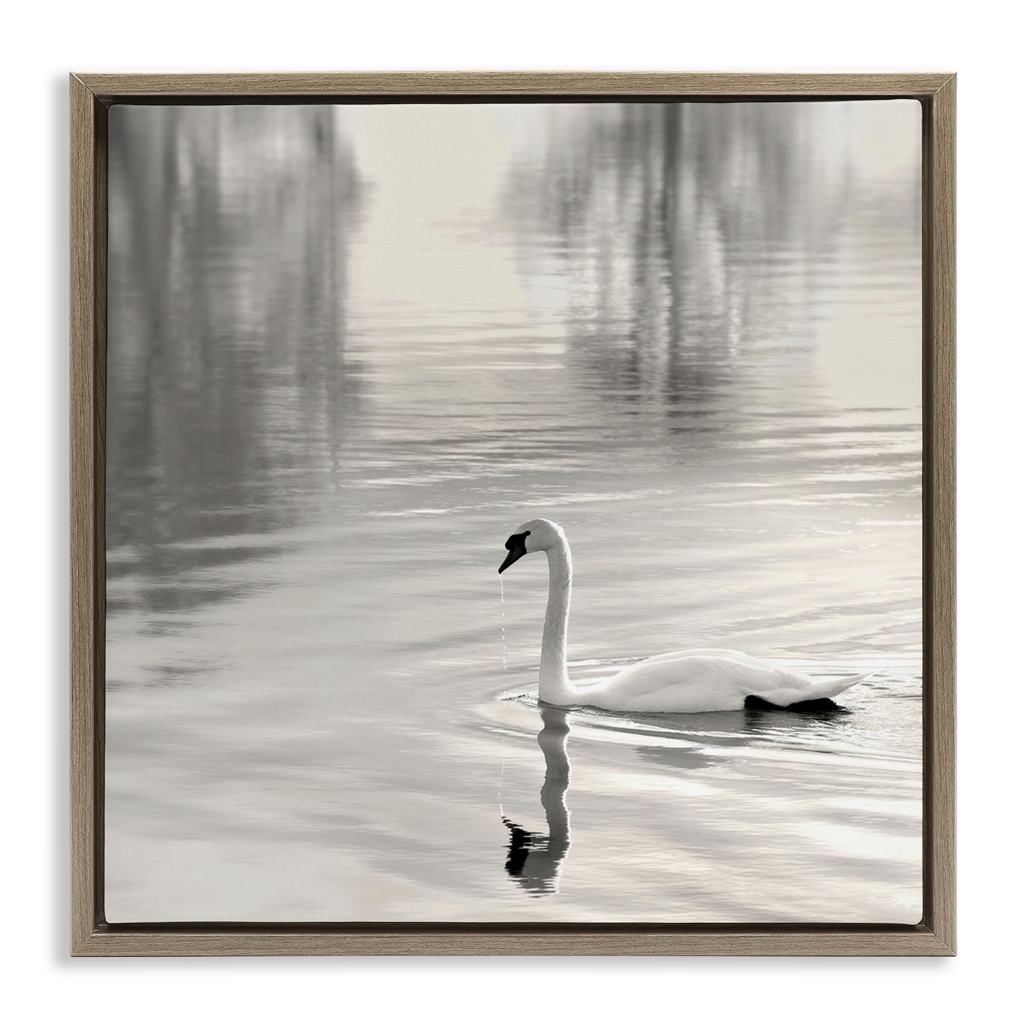 Stupell Industries Montalcino Elm (Textured) 'Morning Sunlit Swan'| Floating Frame Canvas Art
