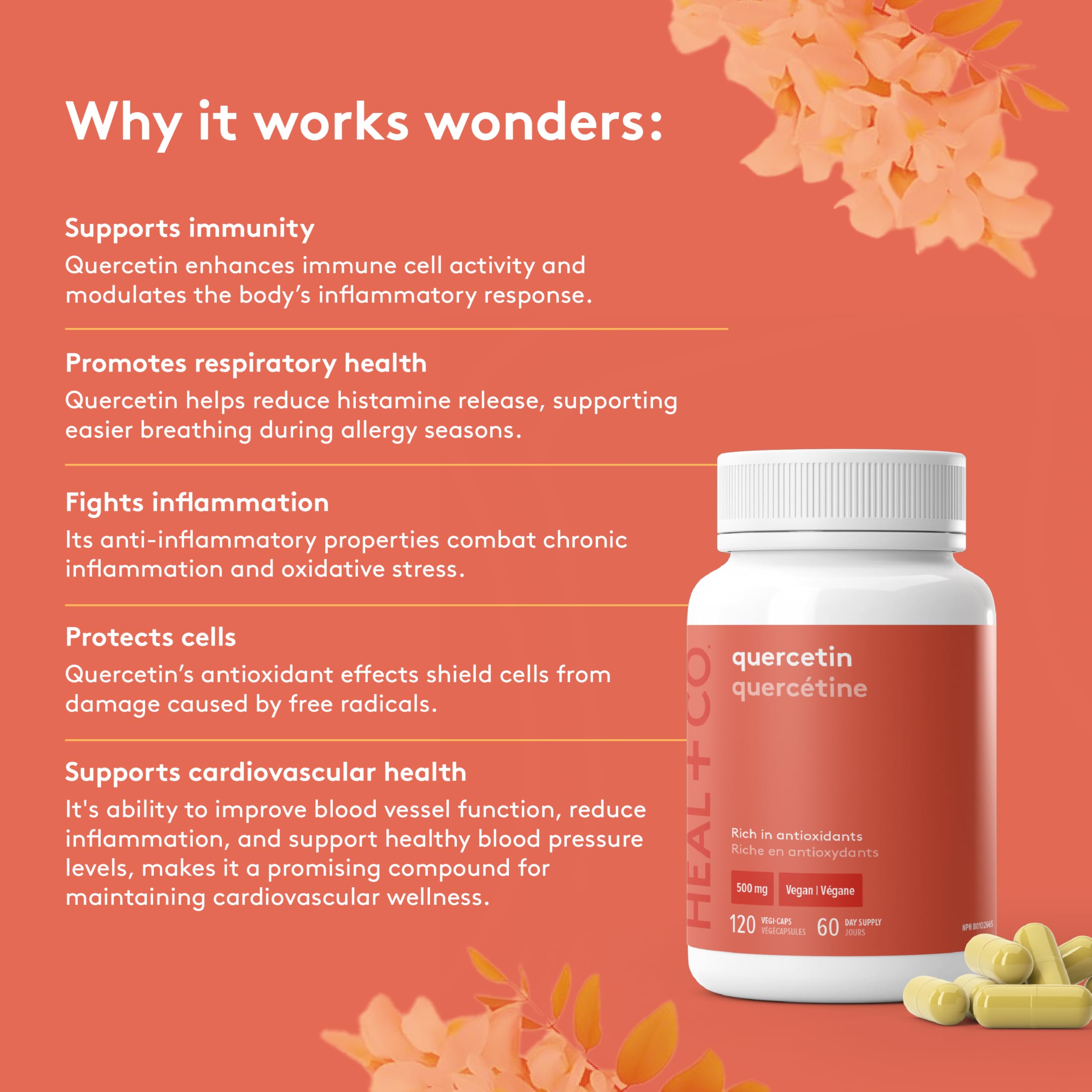HEAL + CO. Quercétine, Formule Antioxydante Haute Puissance avec 1000 mg par Portion, Soutient l'Immunité Quotidienne, la Protection Cellulaire & la Réponse Inflammatoire – 120 Gélules Vegan