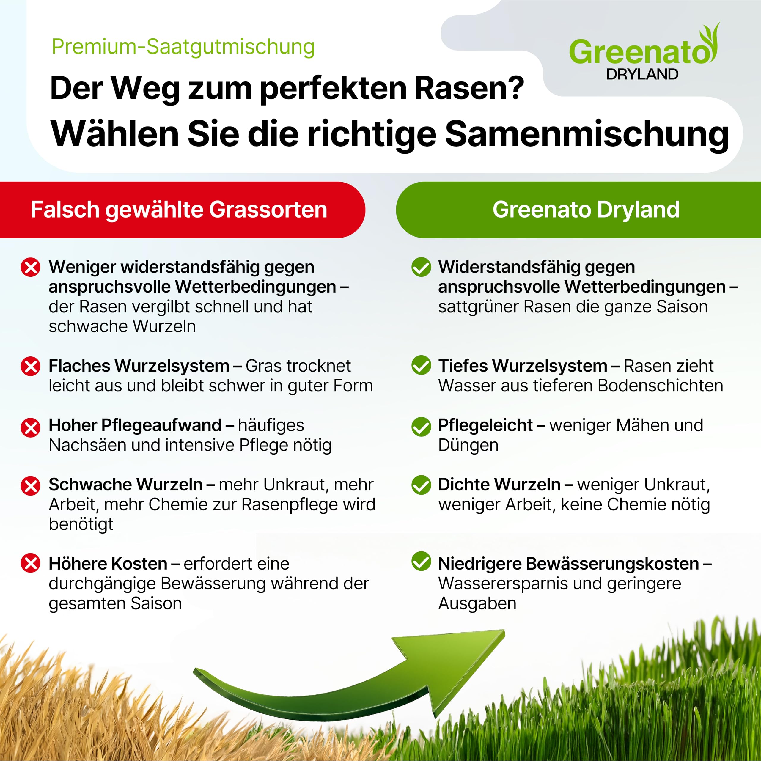 Semillas de Césped Greenato Dryland Resistentes a la Sequía 10kg
