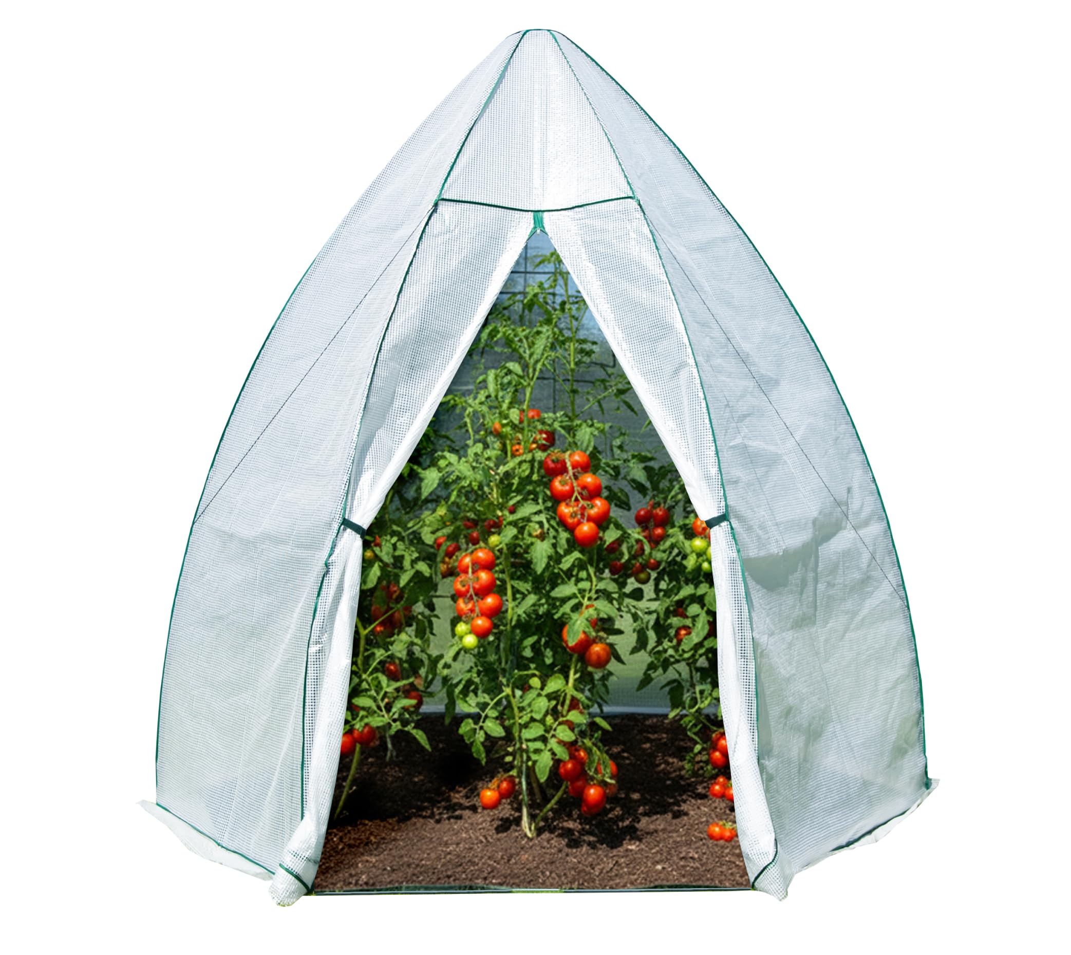 WESTMANN Überwinterungszelt Avocado 250x250x250 cm Pflanzenschutz