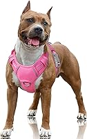 BARKBAY No Pull Dog Harness Large Pink - Reflective Front Clip, Breathable Mesh Handle for Walking, Training, Running w/ ID Pocket