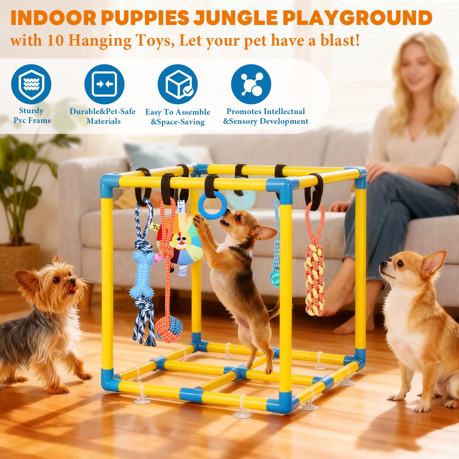 WLLEYAY Welpenspielstudio für kleine Hunde mit 10 hängenden Spielzeugen, abnehmbarer Indoor-Dschungel-Fitnessstudio, PVC-Rahmen mit verstellbaren Bungee-Gurten, interaktives Hundespielzeug