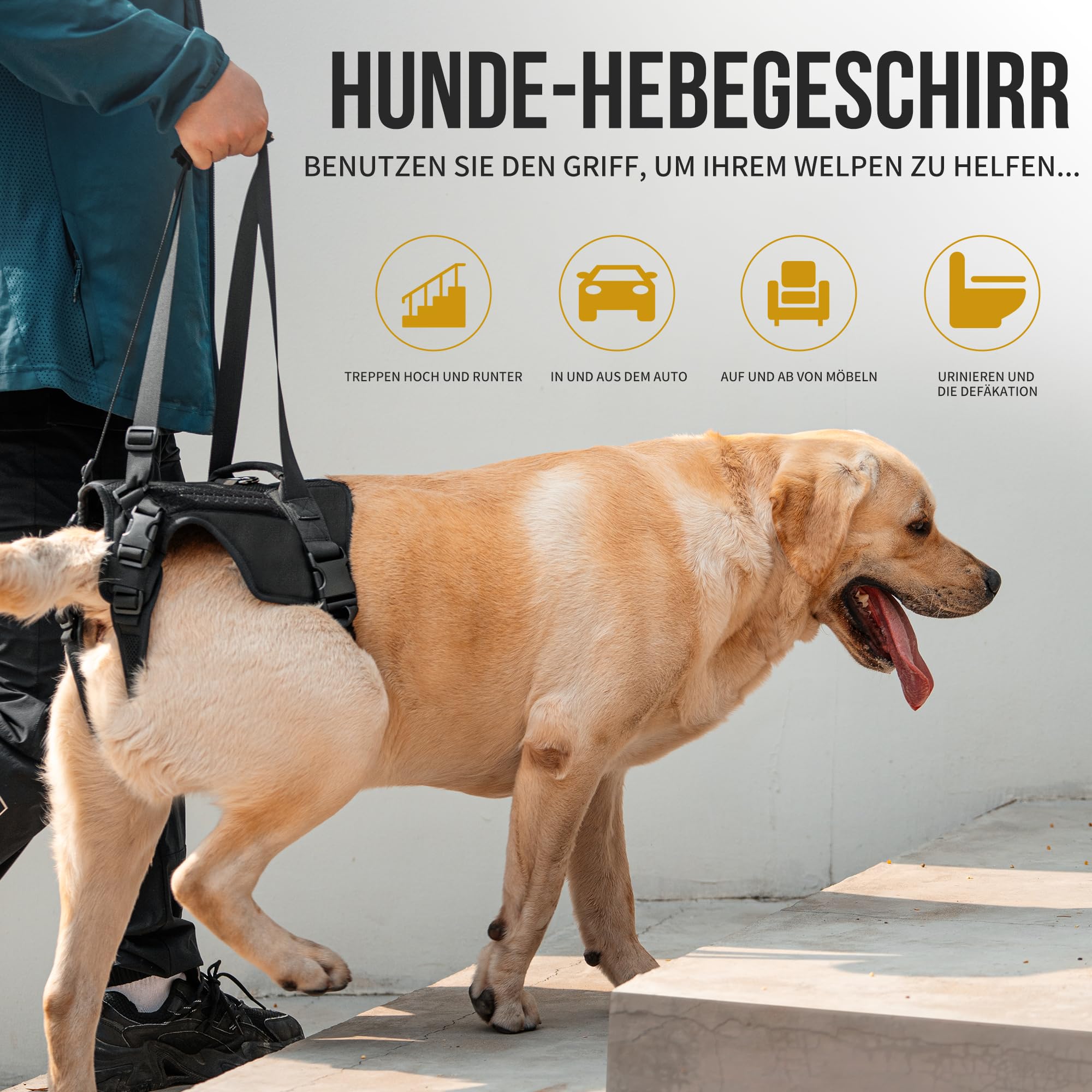 OneTigris Hundegeschirr, Victus Unterstützung Geschirr, Hebegeschirr für Mittelgroße Große Hunde Hundehebegeschirr Hundestützgeschirr für die Hinterbeine - Schwarz, L