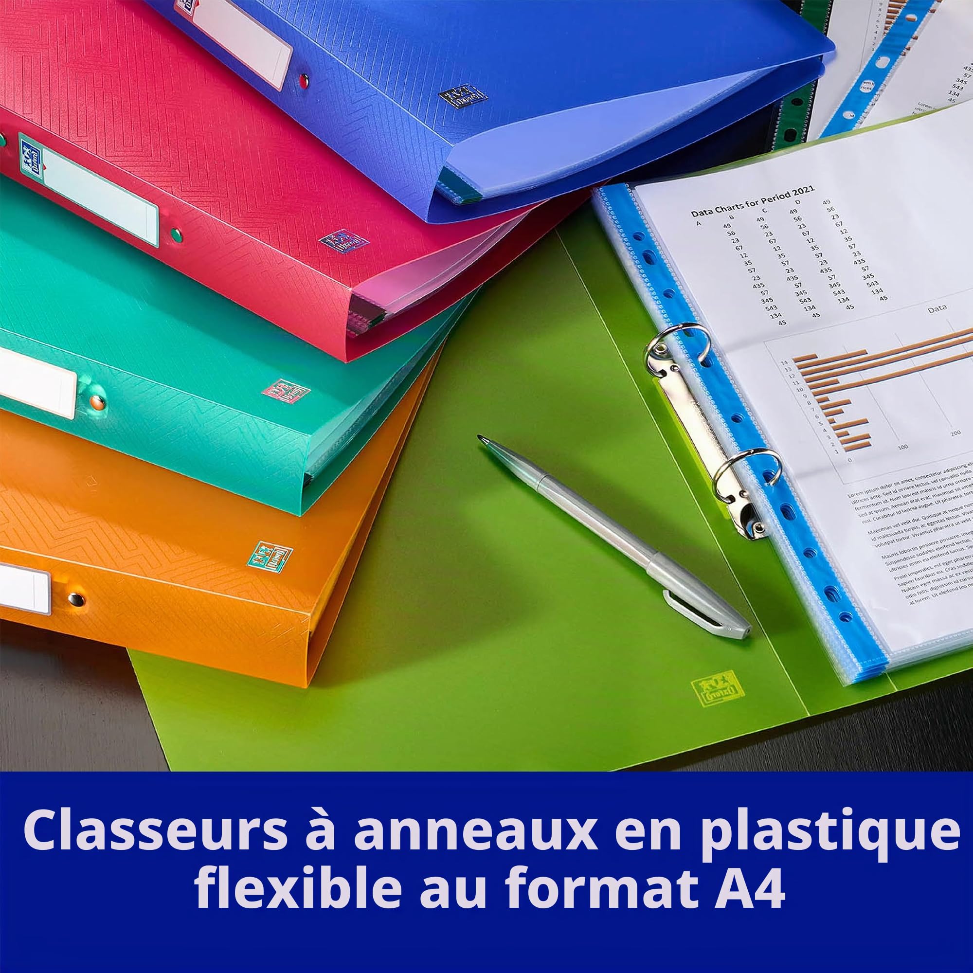 Oxford Lot de 10 classeurs à anneaux A4 Largeur du dos 4 cm 2 anneaux Plastique 8 couleurs