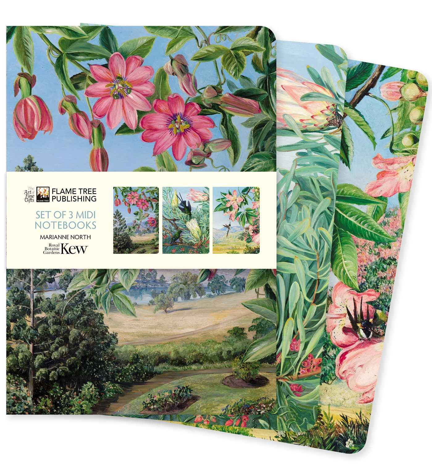 Kew Gardens: Marianne North Set of 3 Midi Notebooks: Marianne North Midi Notebook Collection