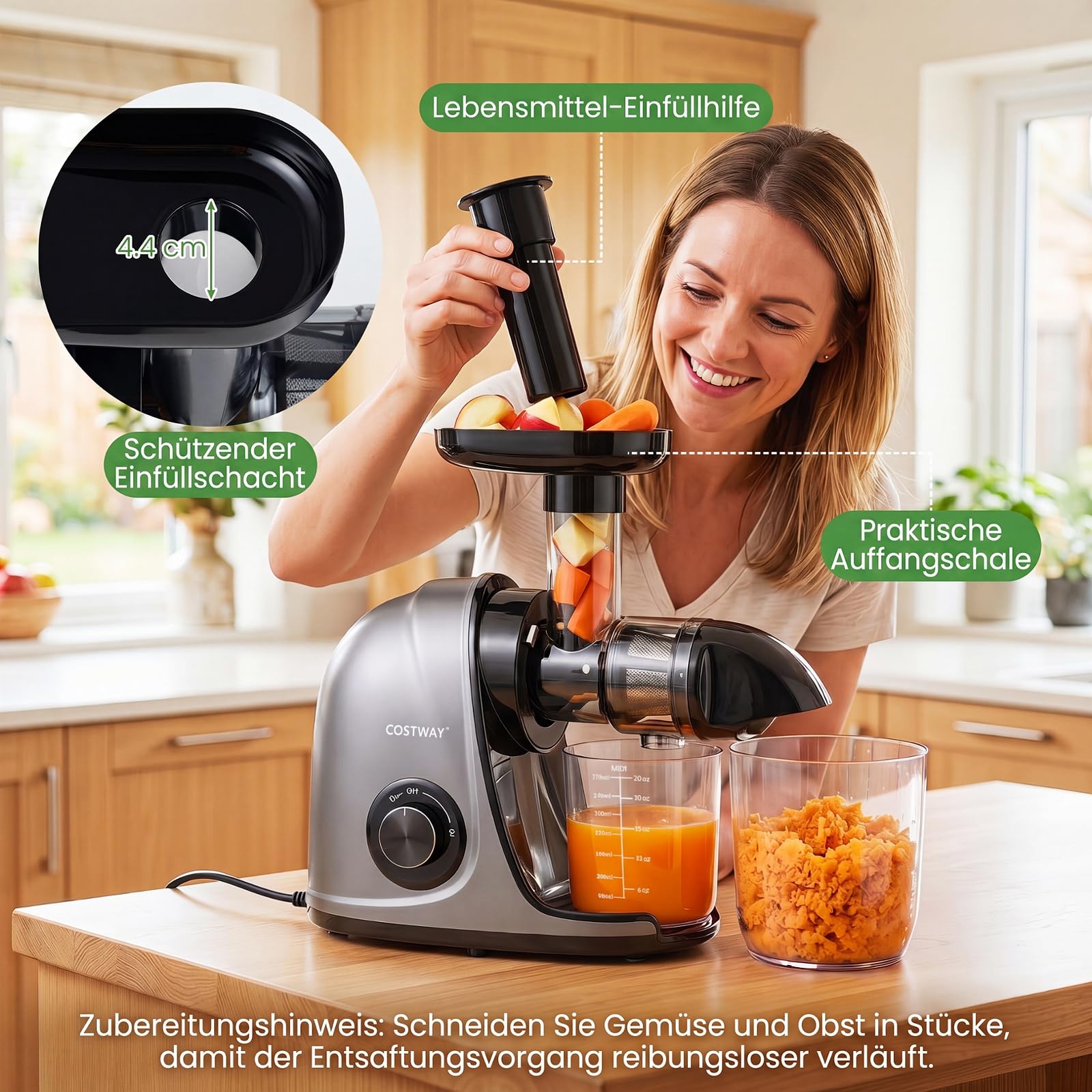 COSTWAY Entsafter Gemüse und Obst, Slow Juicer mit Rückwärts-Kau-Funktion | mit 700 ml Becher & 1,1 L Fruchtfleischbehälter & Reinigungsbürste, kompakte Obstpresse für frische Säfte, Drinks, Silber
