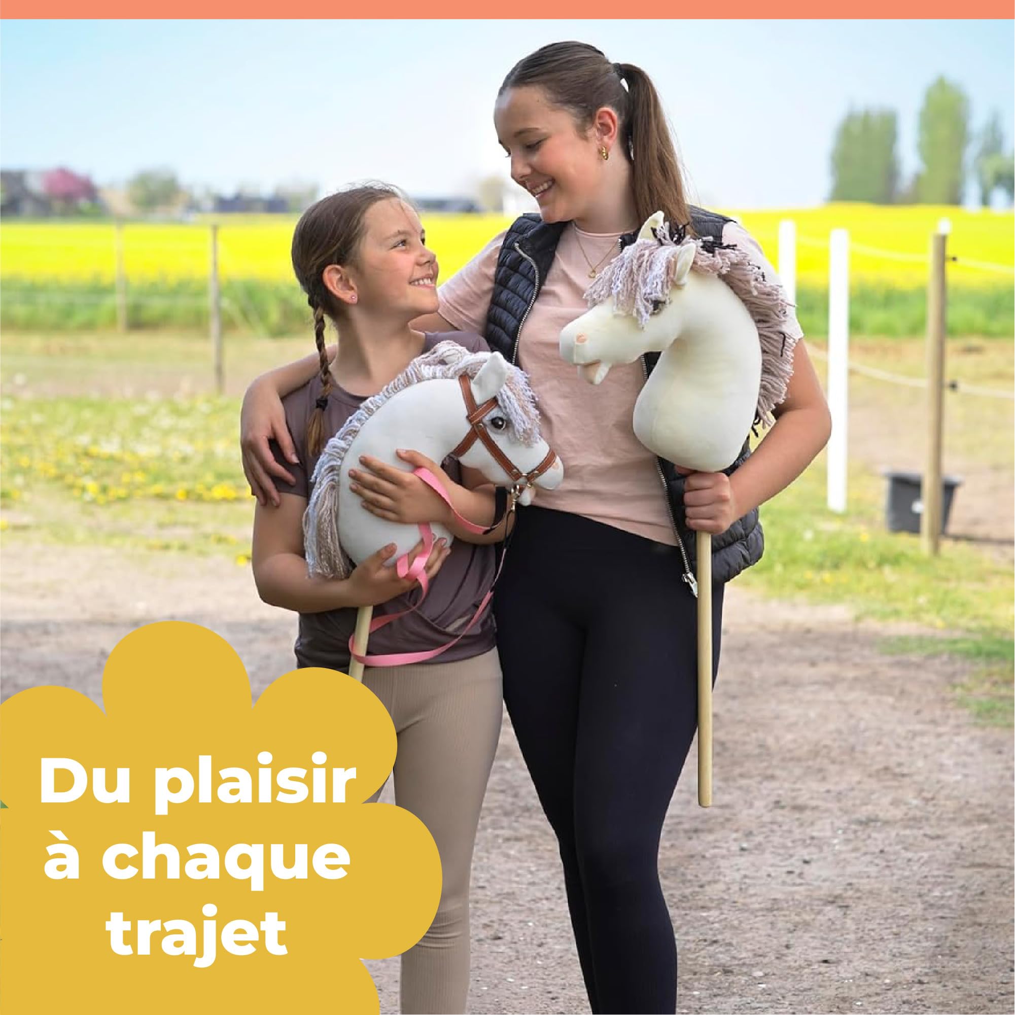 Panduro DIY Hobby Horse | Steckenpferd - Undekoriertes Pferd mit Holzstab | Steckpferd Bastel | Stockpferd Ohne Rollen, Ohne Sound | 85 cm Länge | Connemara