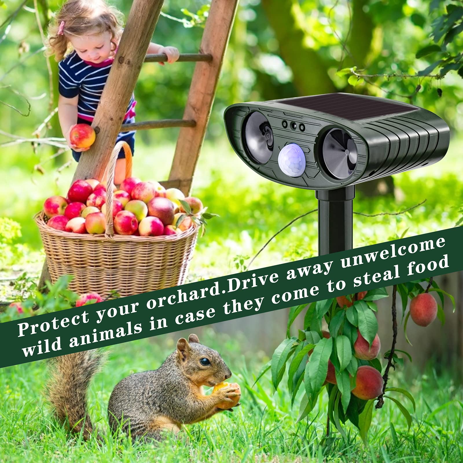Répulsif Chat Exterieur Ultrasons Repeller Repulsif Chat Solaire Répulsif pour Animaux avec Détecteur de Mouvement PIR et LED pour Chats Chiens Renards Oiseaux