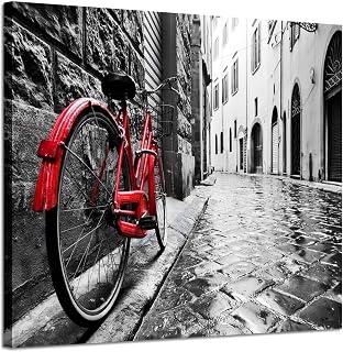 ARTISTIC PATH Cityscape Artwork Wall Decor: Bicycle Photographic Prints- Retro Vintage Red Bike in Black and White on Wrapped Canvas for Home Decoration (24" W x 18" H,Multi-Sized)