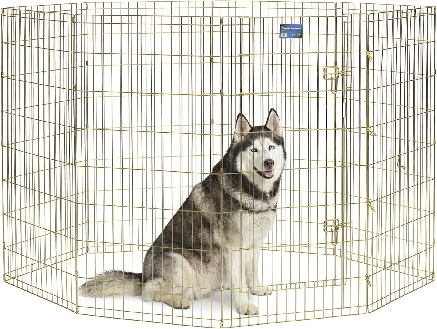 XX-Large Gold Metal Pet Exercise Pen with 8 Panels