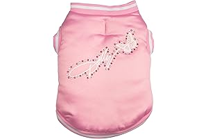 Sparkly Pet Fashion Accessory: Dolly Parton Inspired Jacket