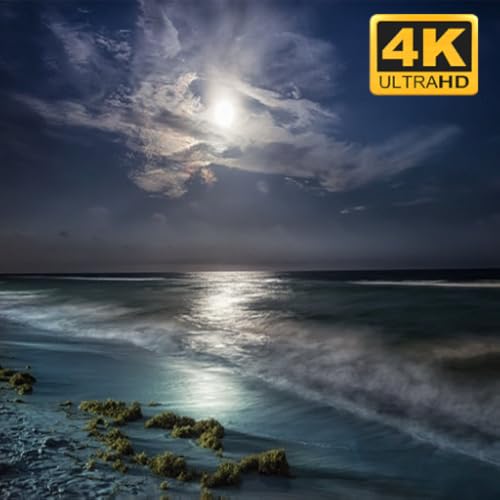 Tropical Beach at Night screensaver 4K Relaxing Waves Sounds for Sleep No Ads