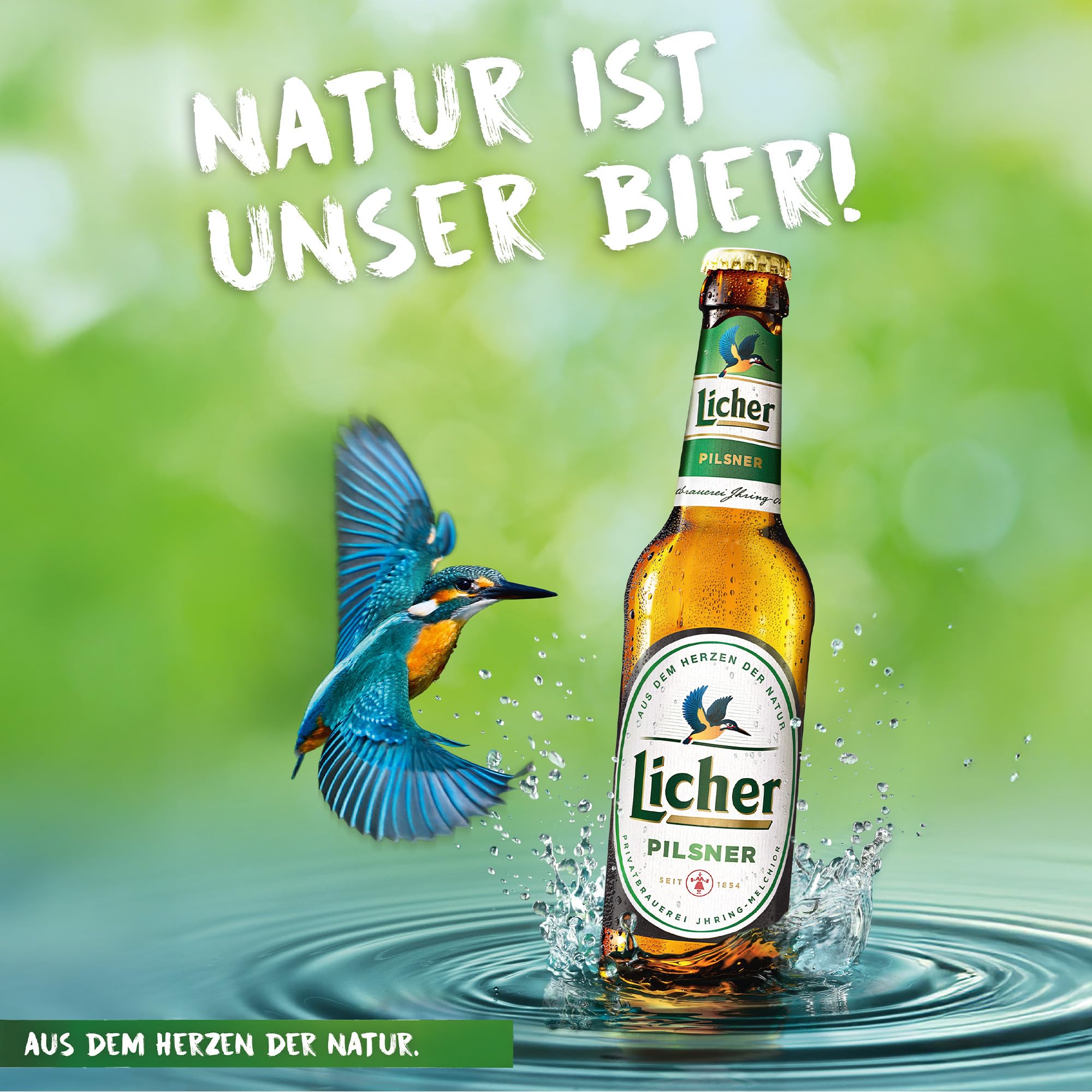 Licher® Pilsner - Dosen-Bier (24 x 0,5 l)