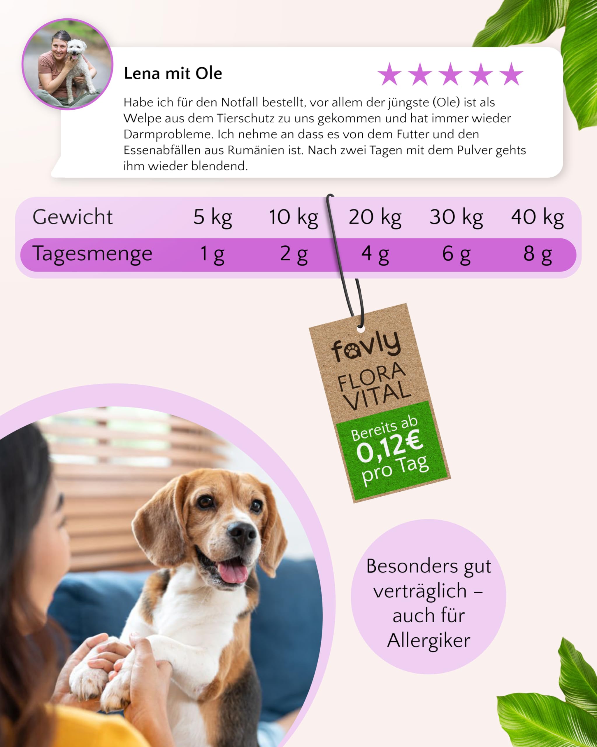 FAVLY – FloraVITAL Darmflora Pulver 2x250g für Hunde & Katzen – Topping zur Unterstützung von Darm, Verdauung & Immunsystem – mit Inulin, Flohsamenschalen & Beta-Glucanen – Ohne Getreide & Zusätze