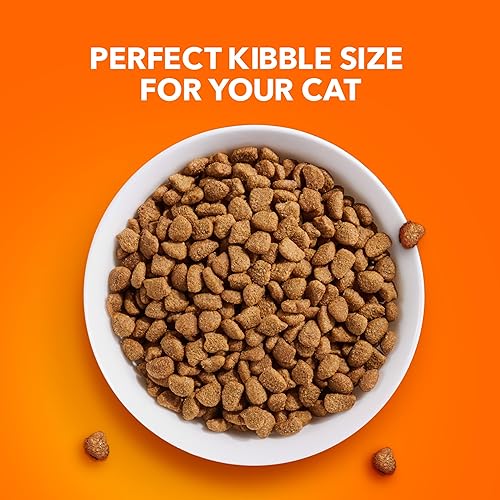 Vista 45 de Iams Proactive Health Adult Indoor Weight & Hairball Control Comida seca para gatos