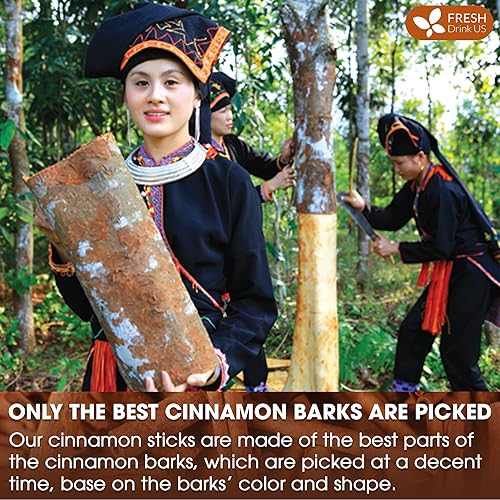 Miniatura 6 de FreshDrinkUS, Más de 75 palitos secos de canela, palitos enteros, corteza interior de canela 100% natural y pura, sabor a especias crudas y aroma