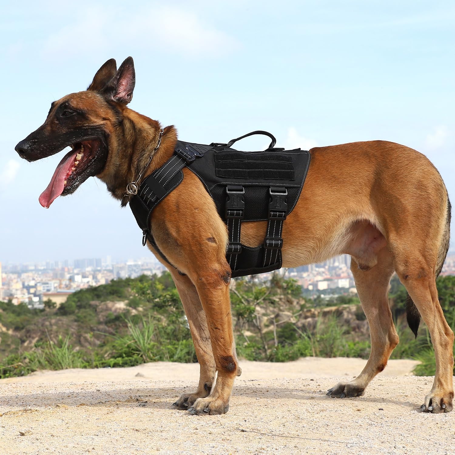 ICEFANG Tactical Mesh Dog Harness for Large Dogs,Reflective Dog Molle Vest with Metal Buckles,Hook and Loop Panels,No Pulling Front Clip for Walking Hiking Training (Large (Pack of 1), Black)