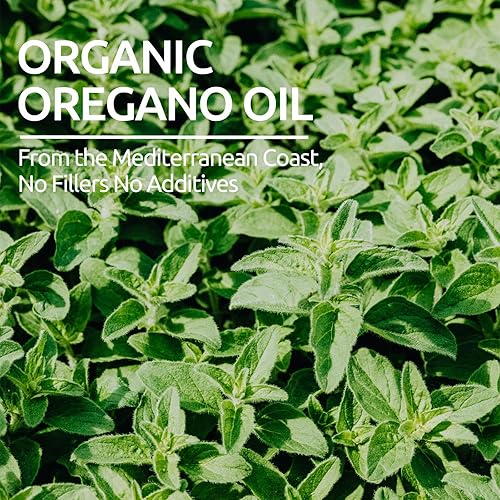 Miniatura 5 de Aceite orgánico de gotas de orégano  con aceite de semilla negra, carvacrol y timoquinona  a base de plantas, líquido de orégano USDA, sin OMG, 2