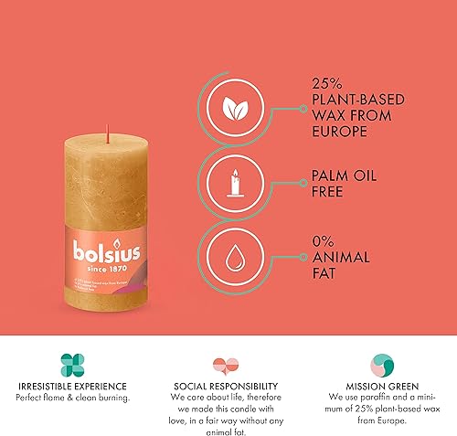 Miniatura 4 de BOLSIUS Paquete de 4 velas rústicas marfil de 2.75 x 5 pulgadas, calidad europea premium, cera natural ecológica a base de plantas, sin perfume, sin