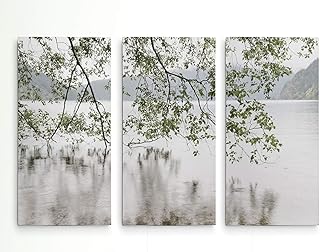 Renditions Gallery Nature Wall Art Prints Tree Branches Falling into the Lake Crescent Canvas Hanging Artwork for Bedroom Office Kitchen Decor - 12"x24"x3panels LT29