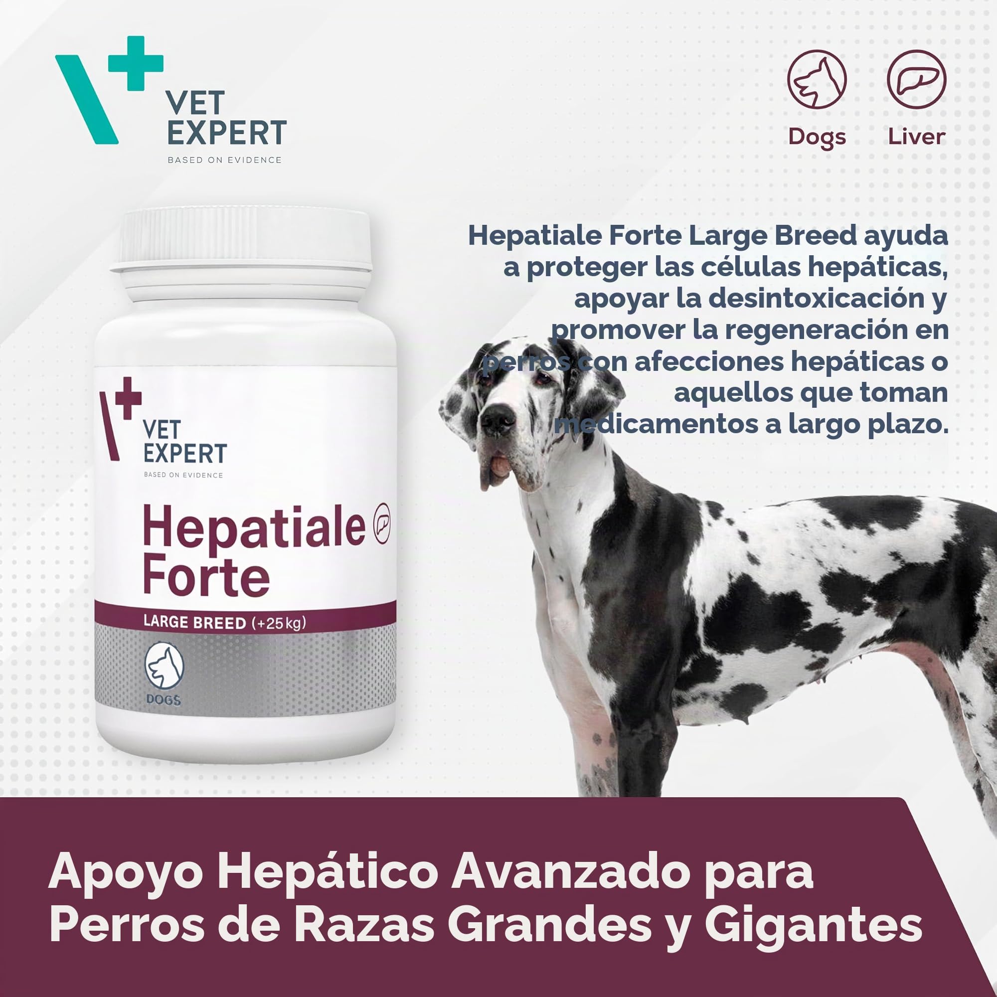 Alimento complementario para razas grandes de perros | 40 pastillas | Apoyo a la función hepática | Más de 25 kg de peso corporal | Vet Expert Hepatiale Forte
