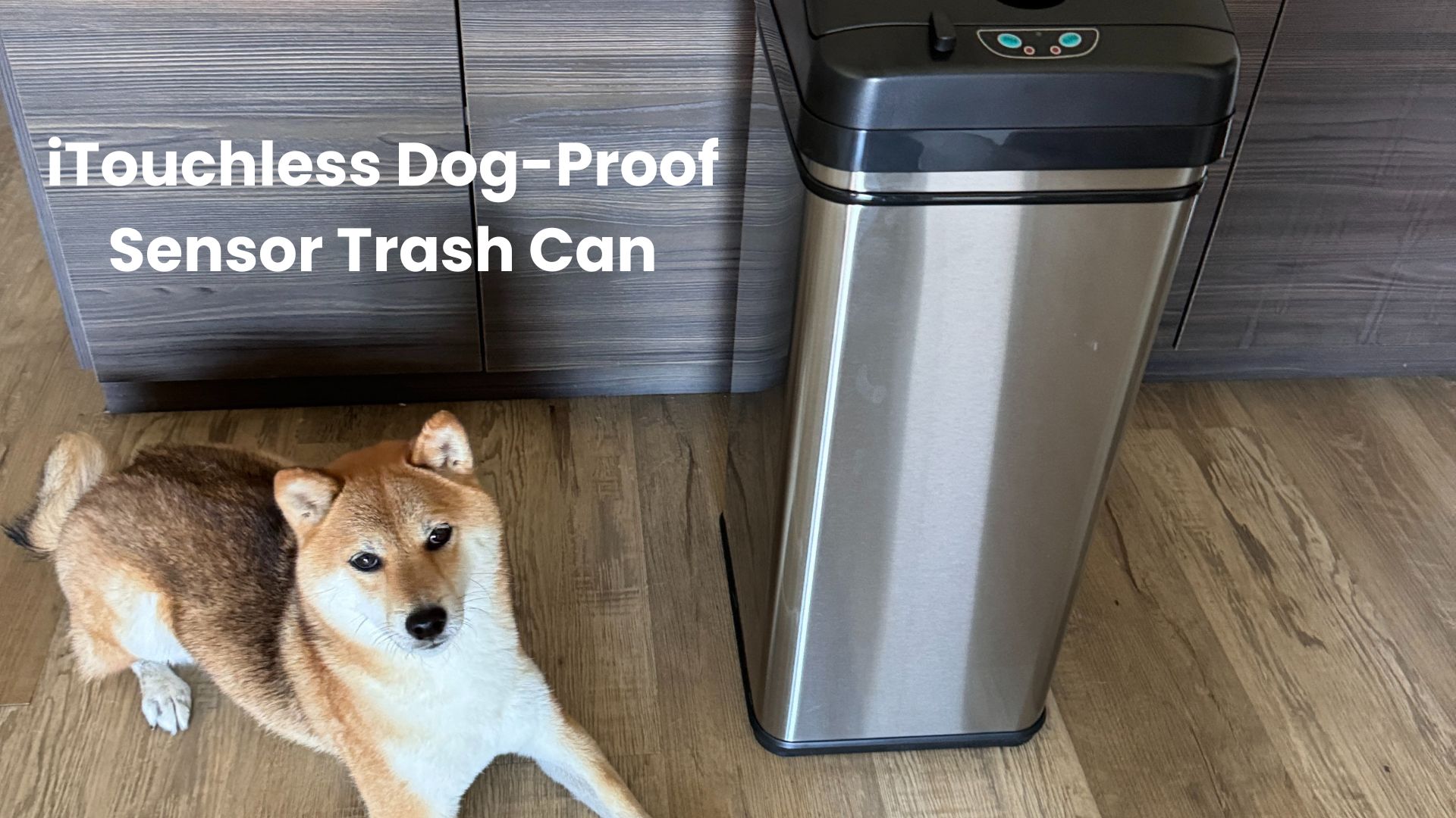 Amazon.com: iTouchless 13 Gallon Sensor Trash Can 2.0