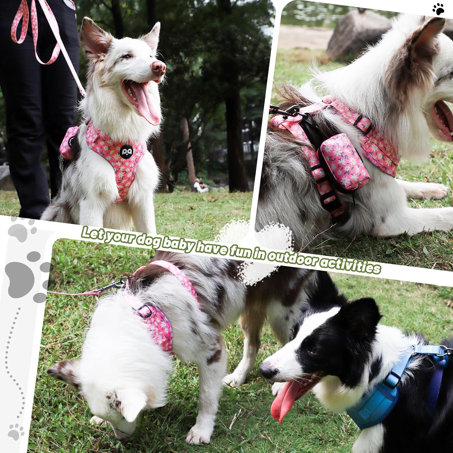 QQPETS Dog Harness Collar Leash with Poop Bag Holder 4 PCS Set, Adjustable No Pull Soft Mesh Padded Vest for Small Medium Large Pet Puppy Outdoor Walking (Daisy Pink, M (Chest 17”-24”))