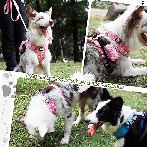 Miniatura 6 de QQPETS Arnés para perro con correa y soporte para bolsa de excrementos, juego de 4 piezas, ajustable sin tirones, chaleco acolchado de malla suave