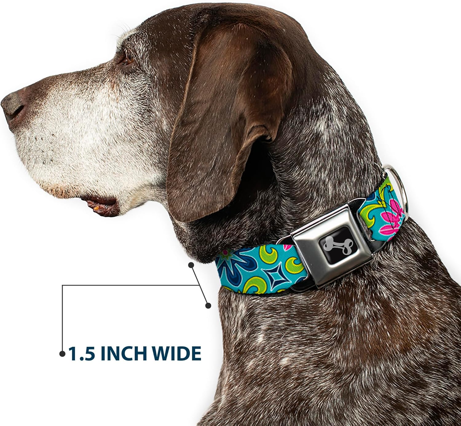 Dog Collar Seatbelt Buckle Floral Burst Turquoise Blues Pinks Yellow Green 11 to 17 Inches 1.0 Inch Wide