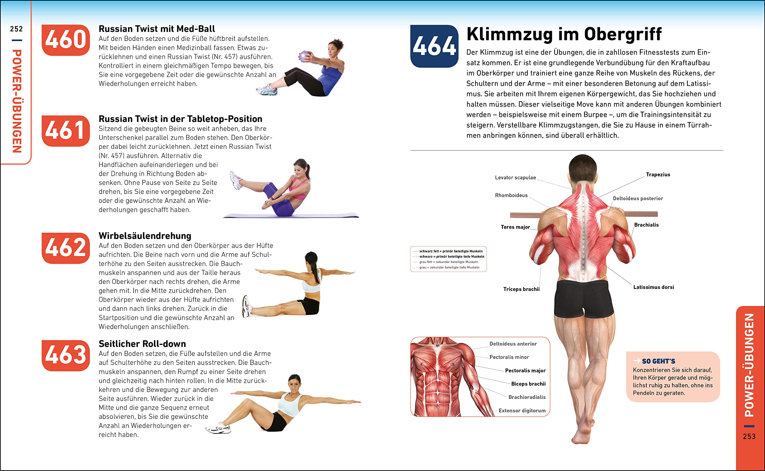 Die H.I.T.-Bibel: 500 hochintensive Übungen für Ihr Power-Workout
