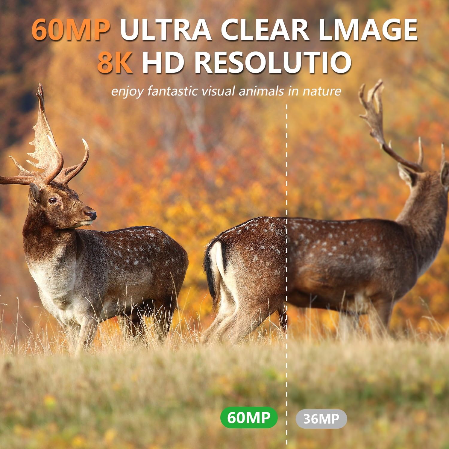 8K 60MP WLAN Solar Wildkamera mit Nachtsicht & 0.1s Auslöser, inkl. 5200mAh Akku & 32GB SD-Karte, IP67 wasserdichte TrailCam mit Bewegungsmelder, APP-Steuerung via 'TrailCam Go' für Jagd