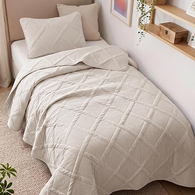 Exclusivo Mezcla 2-Piece Soft Twin Size Quilt Bedding Set, Beige Cream