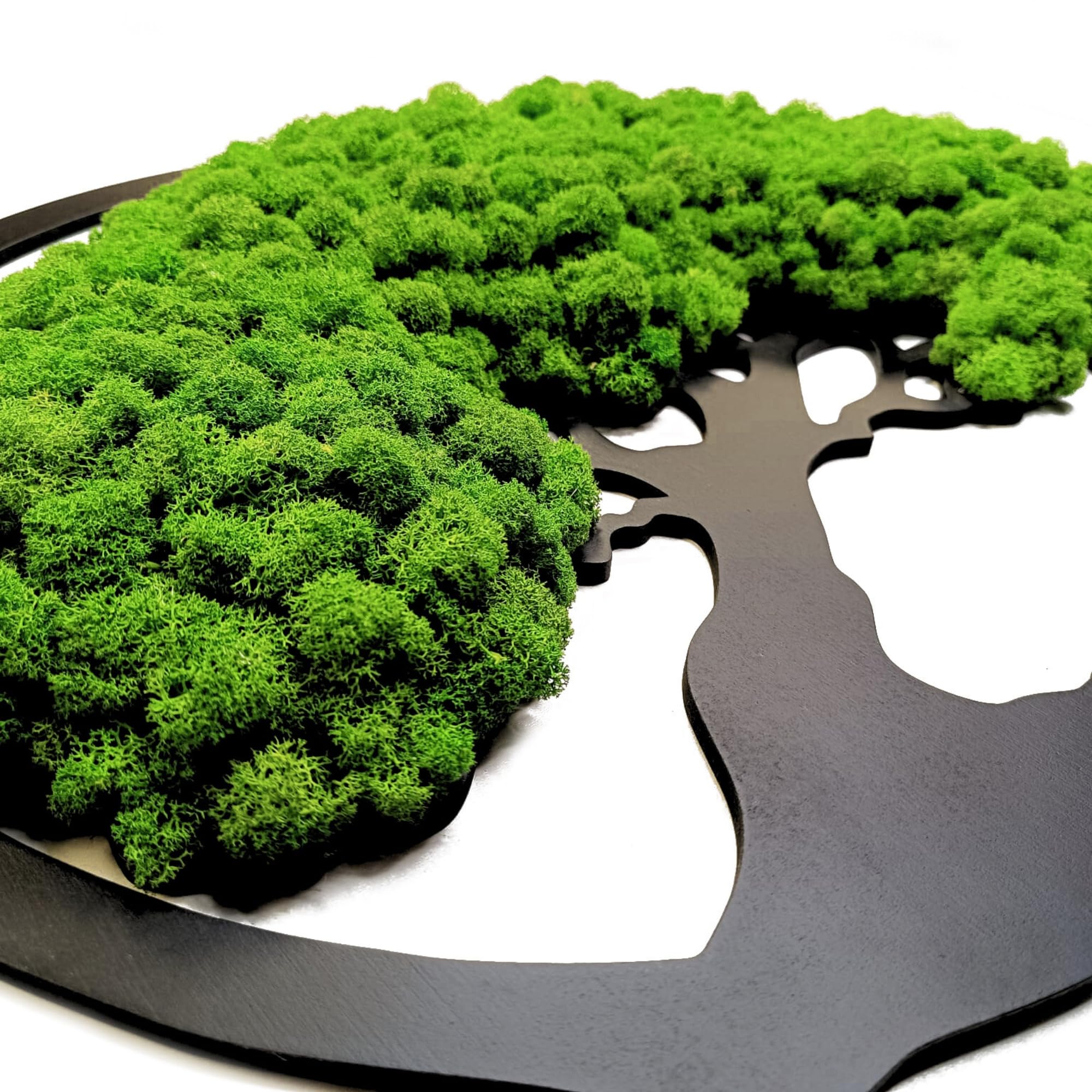 Scandinavian Moss Imágenes de musgo en forma de árbol, hermoso árbol de pared, trae vida a tu vivienda, mural de materias primas naturales y musgo decorativo, 50 cm