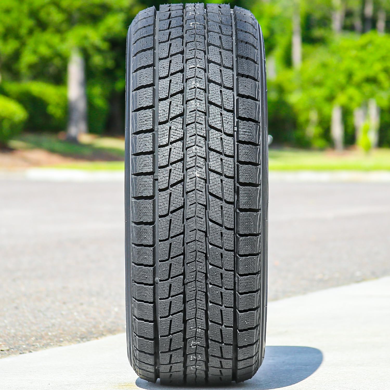 Amazon.com: Dunlop Winter Maxx SJ8 255/50R20 109R XL