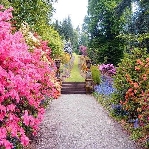 AOFOTO Fondo de fotografía de flores de primavera de 6 x 6 pies, paisaje de jardín, paisaje al aire libre, vintage, parque, mansión, accesorios de