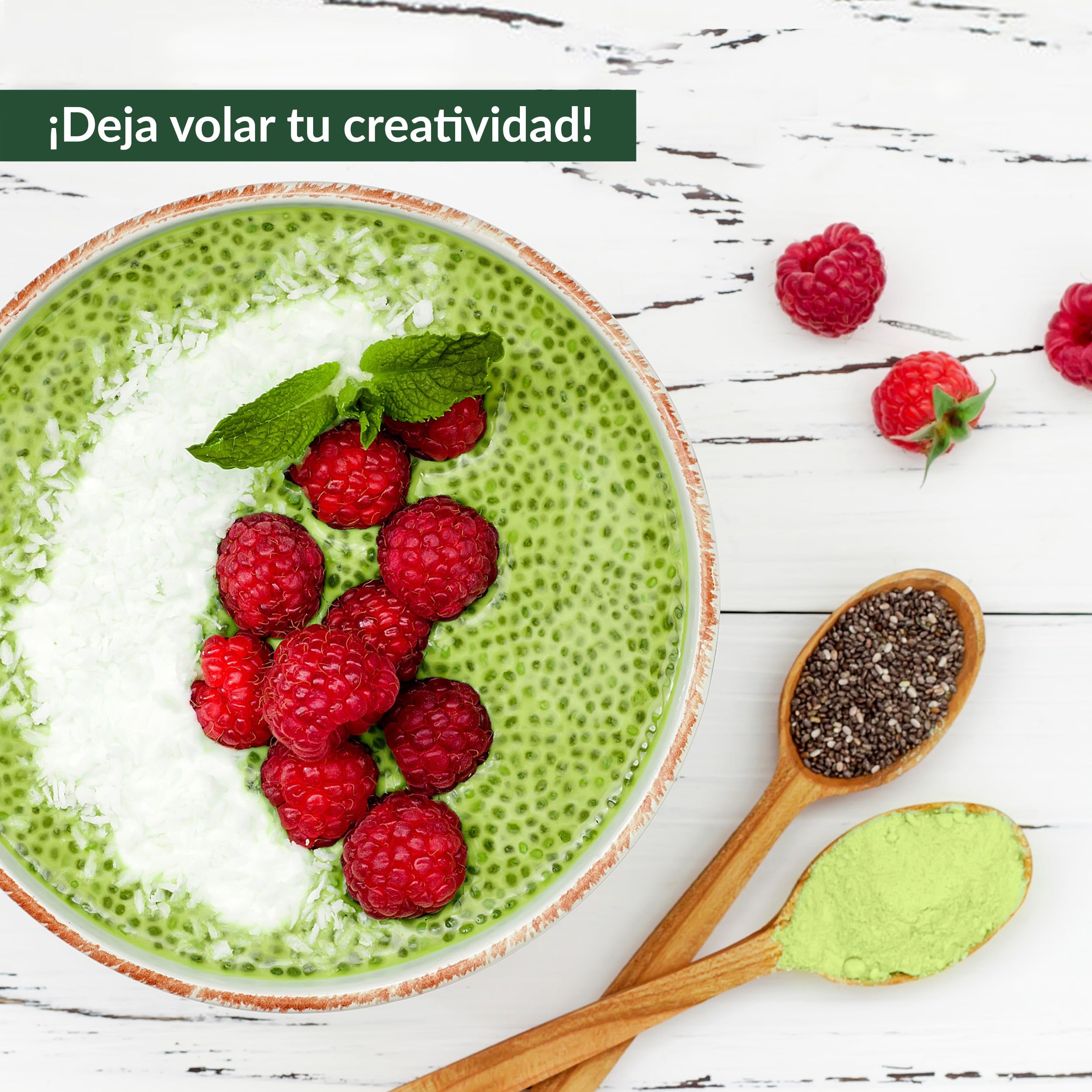 1 kg de polvo de hierba de cebada, a partir de hierba joven, sin aditivos, calidad de alimento crudo, elaboración delicada a bajas temperaturas (1000 g)