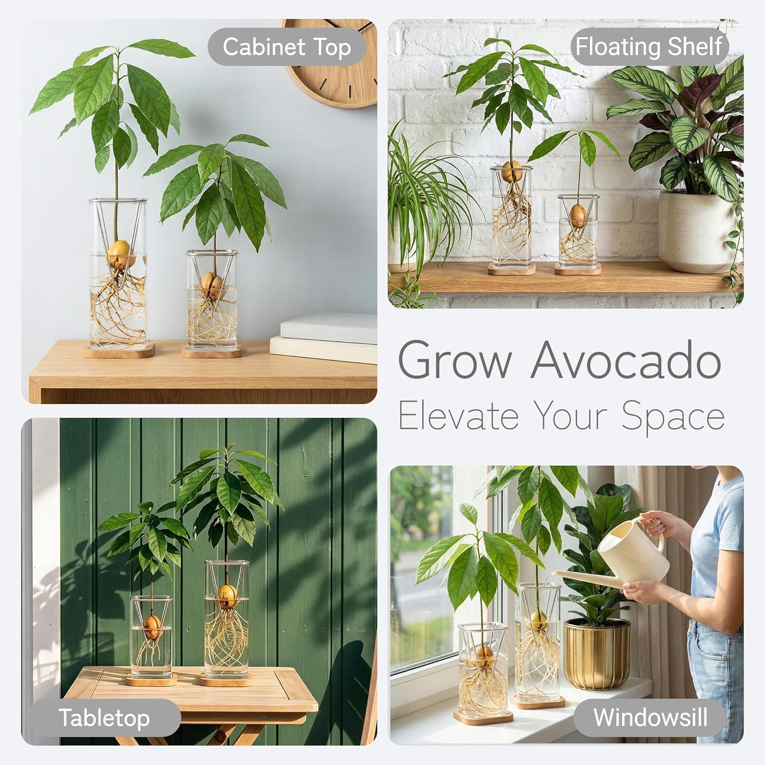 2 Pack Avocado Vase Grow Glass Avocado Seed Starter Vase Large Pit Propagation Kit Hydroponic Rooting Sprout Set