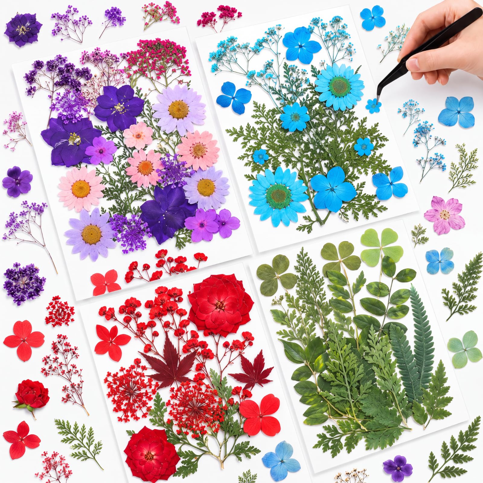 Nuanchu Natural Dried Pressed Flowers Bulk for Craft Resin DIY