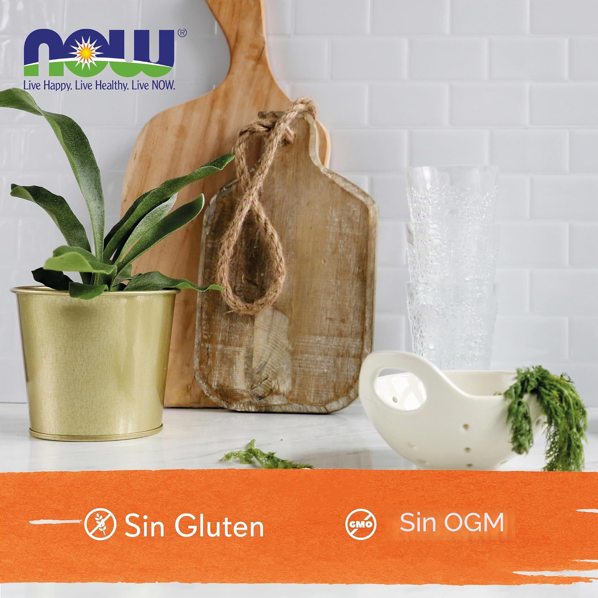 Now Foods, Lecithin (Lecitina de Soja), 1.200mg, Dosis Alta, 200 Cápsulas blandas, Probada en Laboratorio, Sin Gluten, No GMO