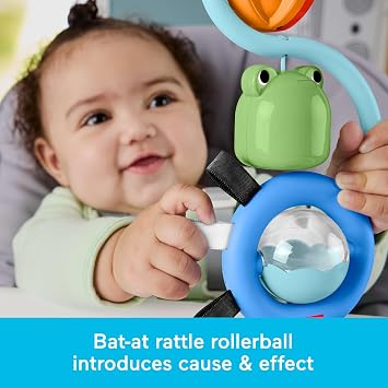 Fisher-Price Eğlenceli Vakum Oyuncağı JHB46