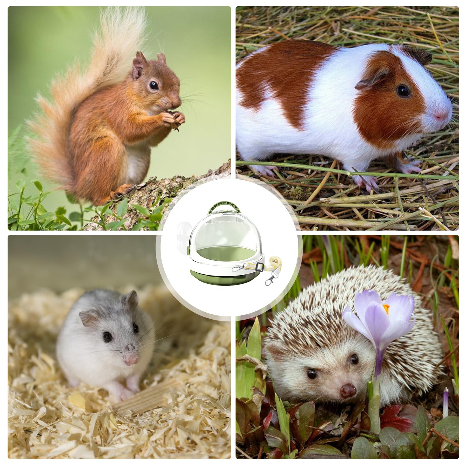 Cage de transport portable pour hamster avec bouteille d'eau, 18,6 x 18,6 x 16 cm, avec fentes d'aération, pour gerbilles, souris, hamsters nains