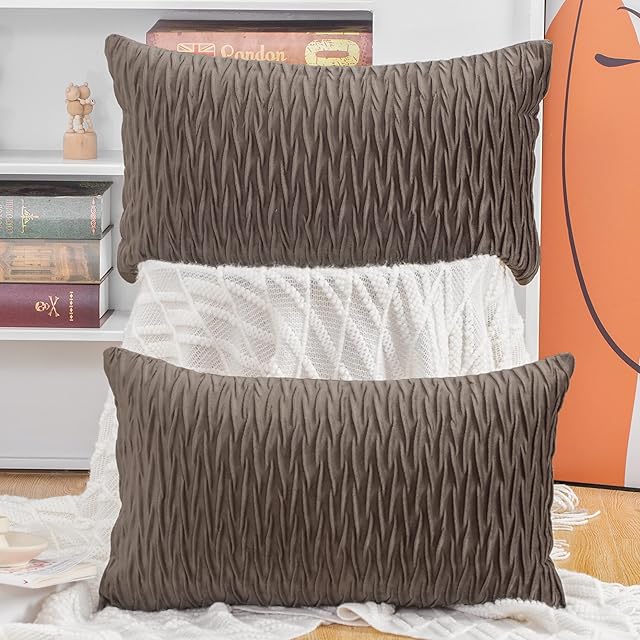 Madizz Pack of 2 Super Soft Velvet Decorative Cushion Covers with Texture Luxury Style Throw Pillow Cases Pillow Shell for Sofa Bedroom Brown 12x20 inch Rectangular