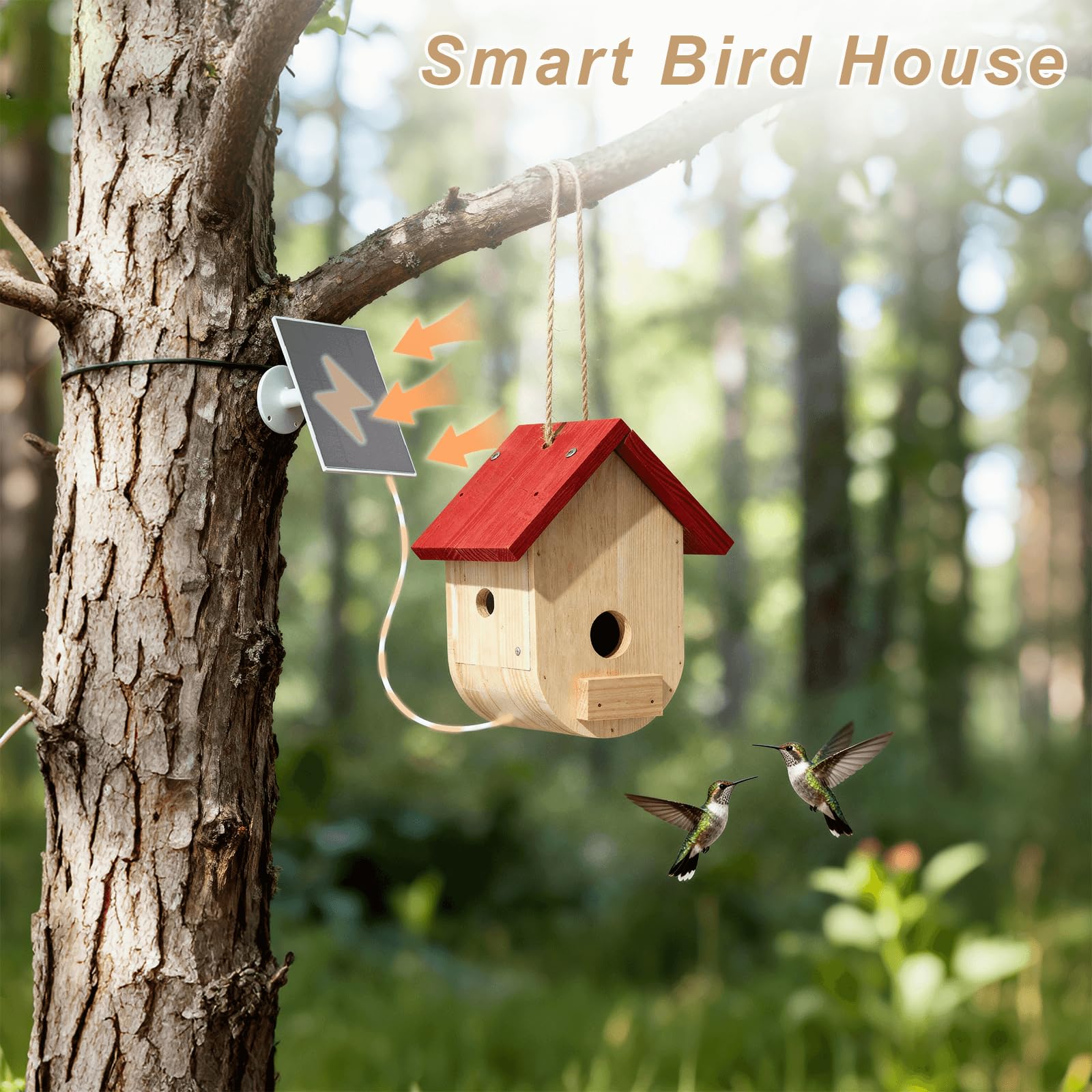 Kolibri Haus mit Kamera Solarbetrieben