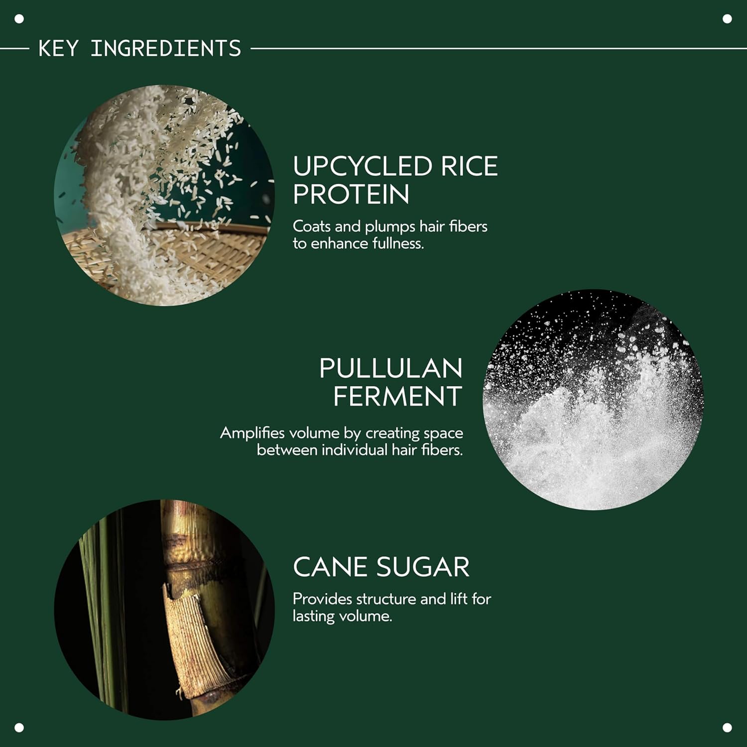 Aveda Abundant Blowout All-Over Volumizing Spray | 24-Hour All-Over Volumizing Spray | Vegan - Image 6